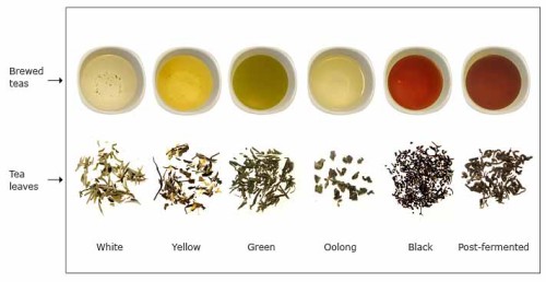 Types of tea